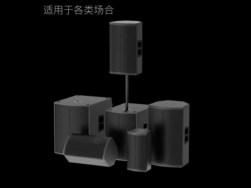 DXR-P系列专业无源音箱